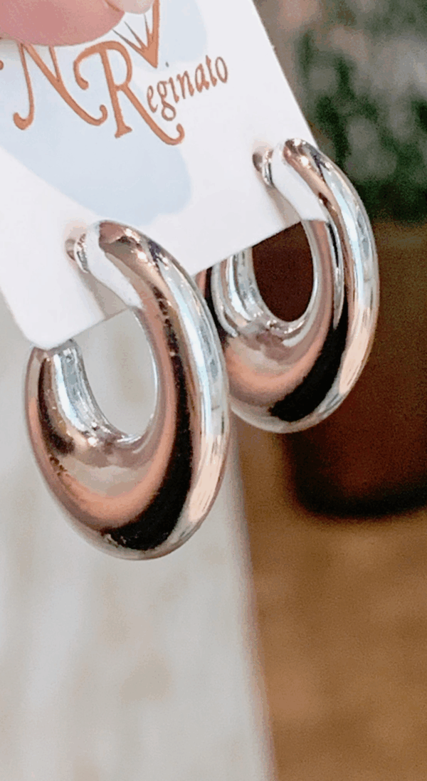 Brinco Argola Oval
